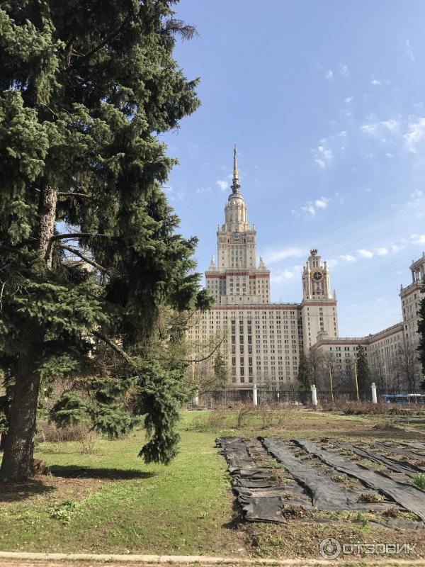 Московский государственный университет им. Ломоносова (Россия, Москва) фото