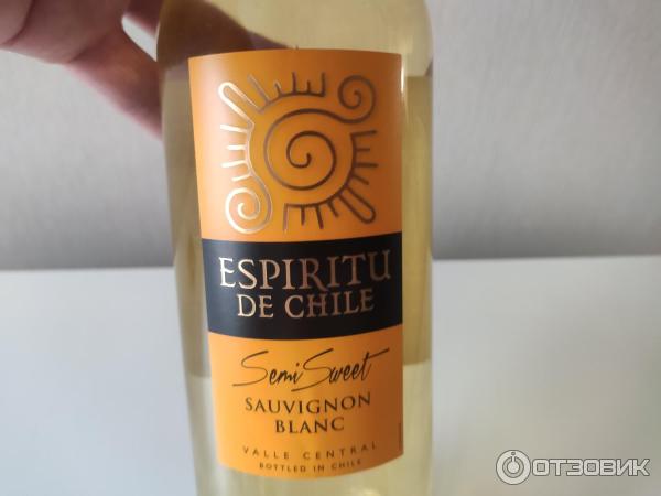 Espiritu de chile белое. Вино белое Espiritu de Chile. Espiritu de Chile вино белое полусладкое. Espiritu de Chile Sauvignon Blanc. Вино Эспириту де Чили Совиньон Блан белое полусладкое.