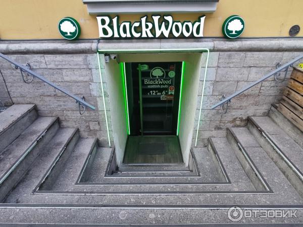 Blackwood ул 9 я линия 179 фото