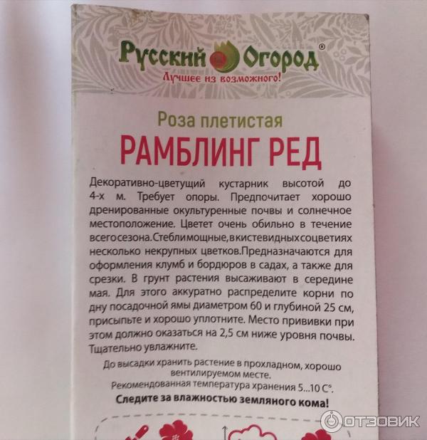 Магазин Светофор