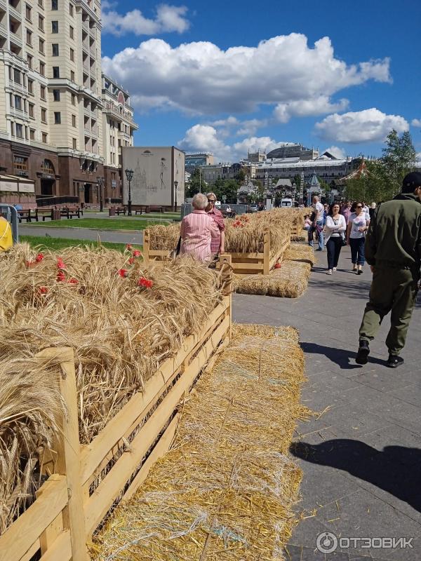 Фестиваль Цветочный джем (Россия, Москва) фото