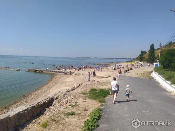 Фото центрального пляжа таганрога Отзыв о Гостевой дом "Центральный" (Россия, Таганрог) Нет, нет и еще раз нет. От