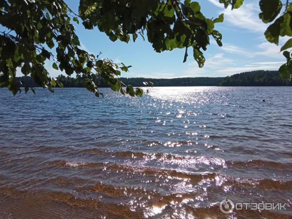 Отдых на озере Раздолинское (Россия, Санкт-Петербург) фото
