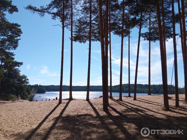 Отдых на озере Раздолинское (Россия, Санкт-Петербург) фото