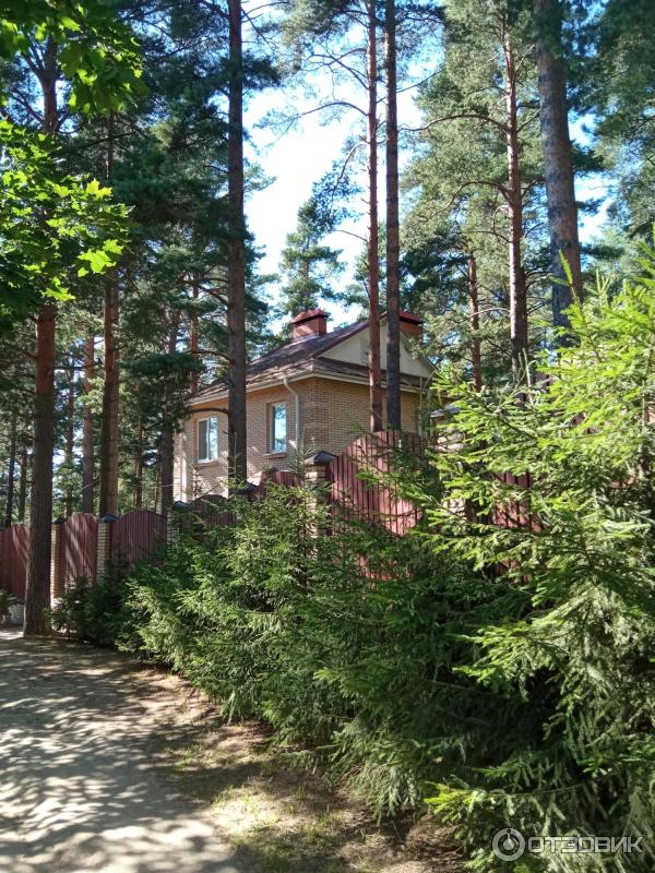 Отдых на озере Раздолинское (Россия, Санкт-Петербург) фото