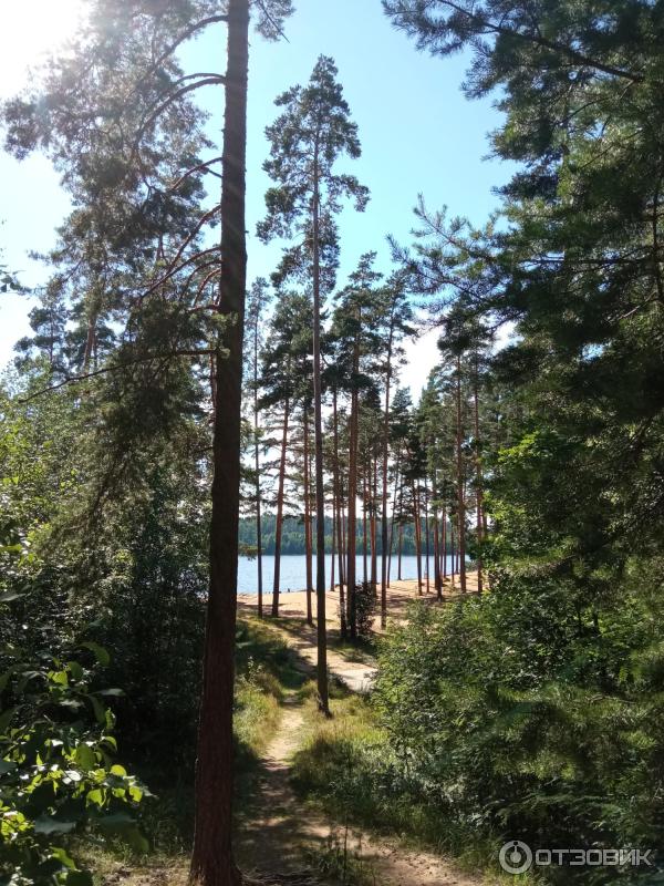 Отдых на озере Раздолинское (Россия, Санкт-Петербург) фото