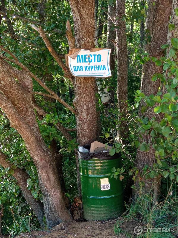 Отдых на озере Раздолинское (Россия, Санкт-Петербург) фото