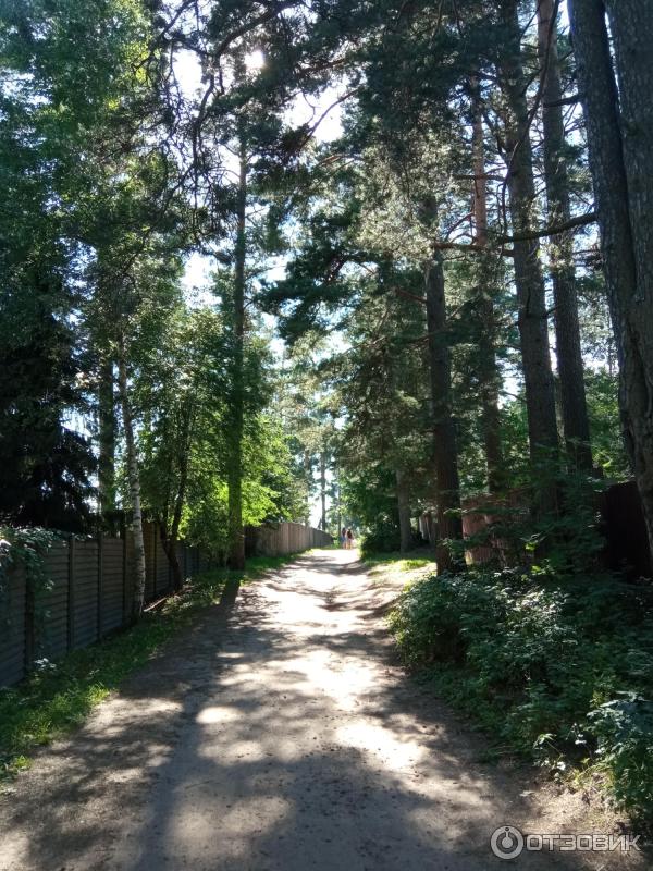 Отдых на озере Раздолинское (Россия, Санкт-Петербург) фото