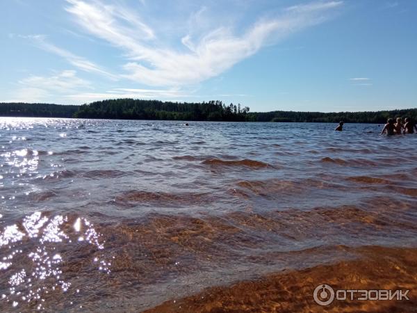 Отдых на озере Раздолинское (Россия, Санкт-Петербург) фото