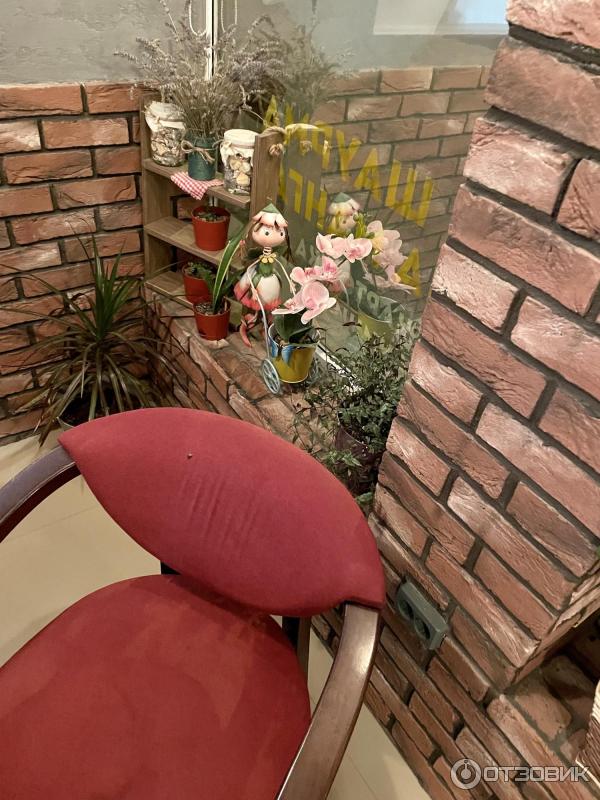 Пиццерия Pizza Bella фото