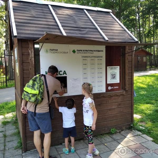 Парк Березовая роща (Россия, Дмитров) фото