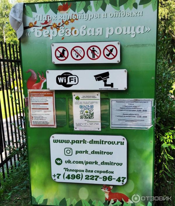Парк Березовая роща (Россия, Дмитров) фото