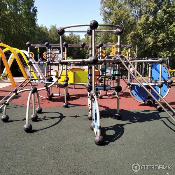 Парк Березовая роща (Россия, Дмитров) фото