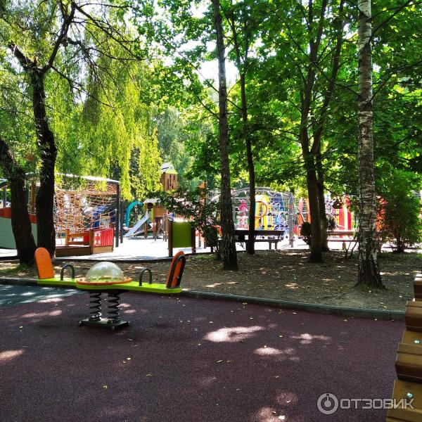 Парк Березовая роща (Россия, Дмитров) фото