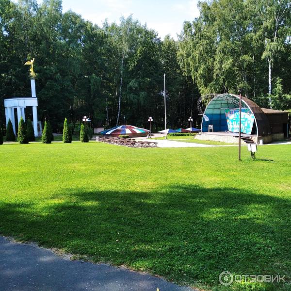 Парк Березовая роща (Россия, Дмитров) фото