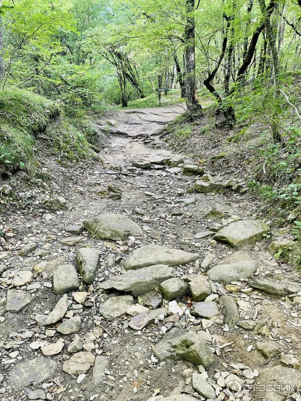 Водопады и дольмены реки Жане (Россия, Краснодарский край) фото