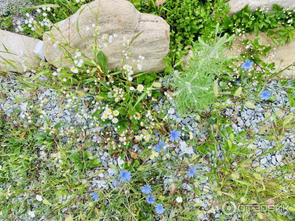 Водопады и дольмены реки Жане (Россия, Краснодарский край) фото