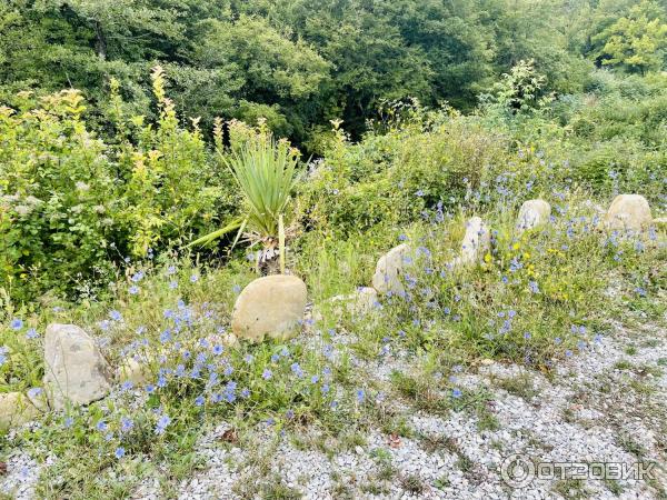 Водопады и дольмены реки Жане (Россия, Краснодарский край) фото