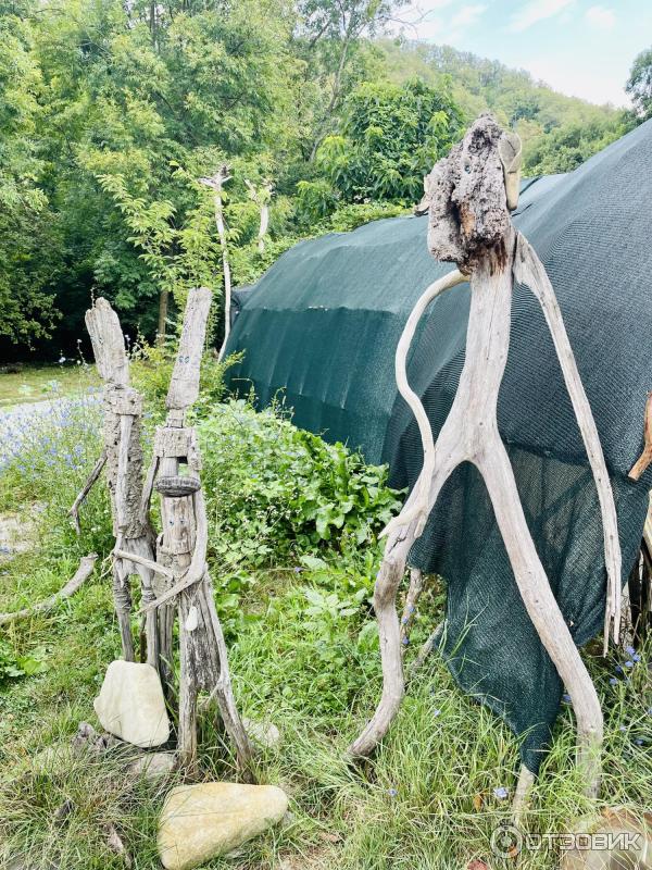 Водопады и дольмены реки Жане (Россия, Краснодарский край) фото