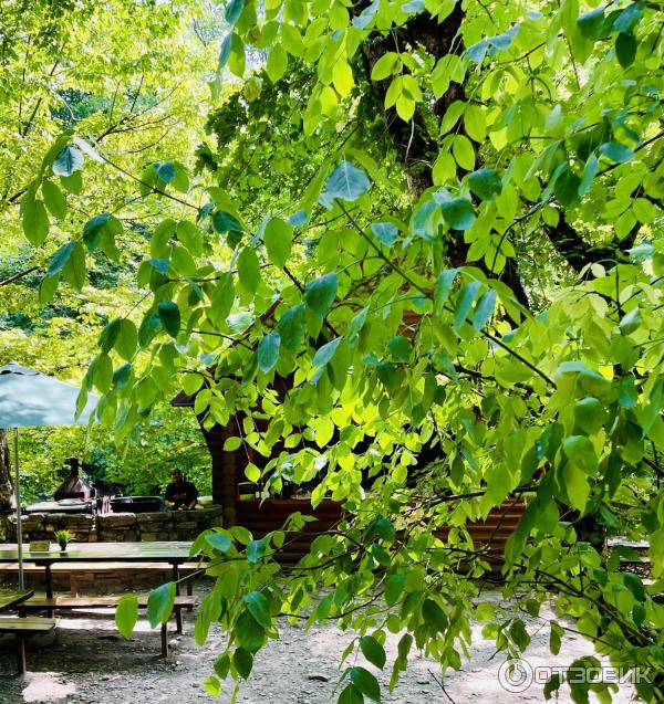 Водопады и дольмены реки Жане (Россия, Краснодарский край) фото