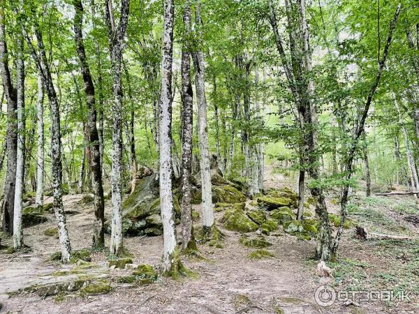 Водопады и дольмены реки Жане (Россия, Краснодарский край) фото