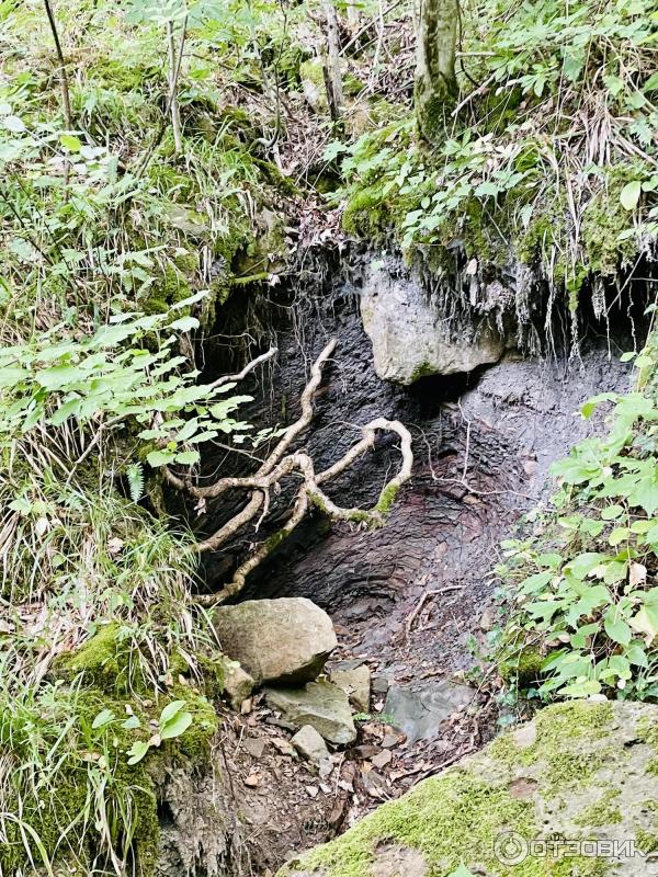 Водопады и дольмены реки Жане (Россия, Краснодарский край) фото