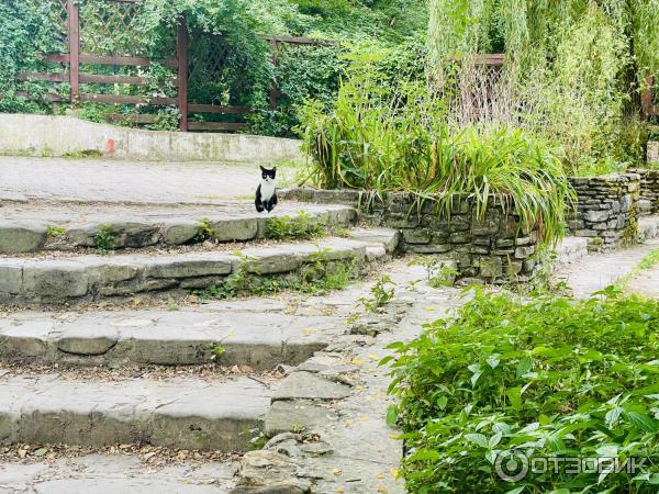 Водопады и дольмены реки Жане (Россия, Краснодарский край) фото