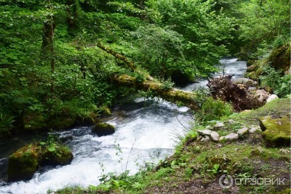 Экскурсия в грот Святого апостола Симона Канонита (Абхазия, Новый Афон) фото