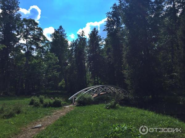 Музей-усадьба дворян Леонтьевых (Россия, Ярославская область) фото