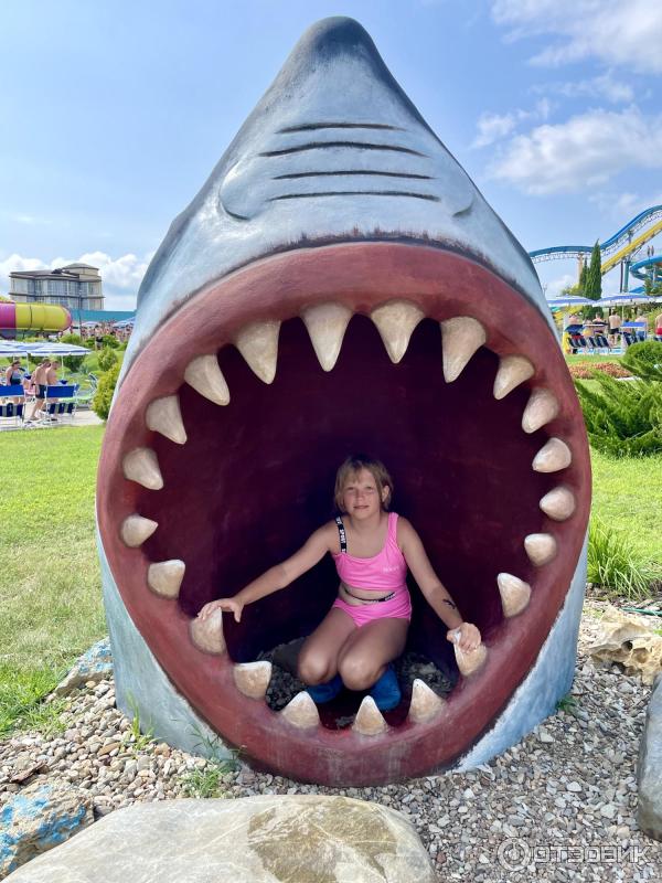 Аквапарк Золотая бухта (Россия, Геленджик) фото