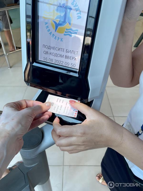 Аквапарк Золотая бухта (Россия, Геленджик) фото