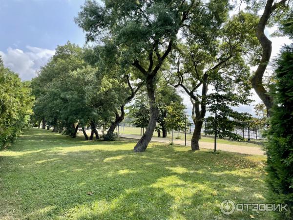 Аквапарк Золотая бухта (Россия, Геленджик) фото