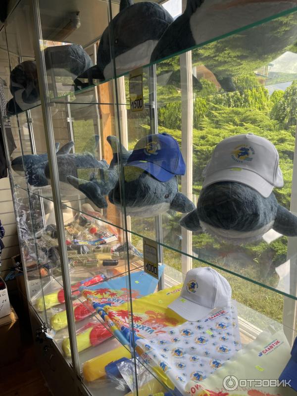 Аквапарк Золотая бухта (Россия, Геленджик) фото