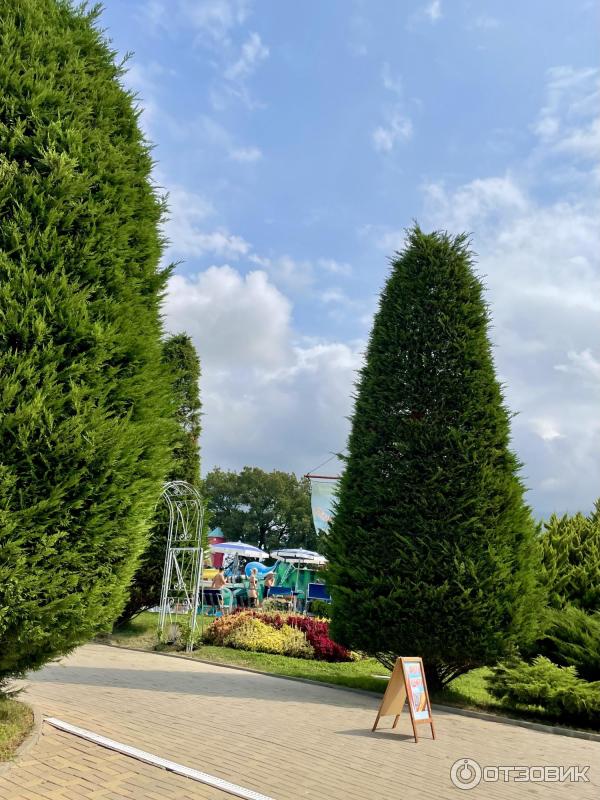 Аквапарк Золотая бухта (Россия, Геленджик) фото