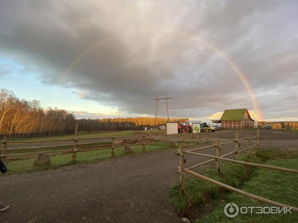 Истринская сыроварня Олега Сироты Русский пармезан (Россия, Дубровское) фото