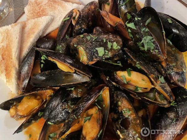 Пиццерия Pizza Bella (Россия, Геленджик) фото