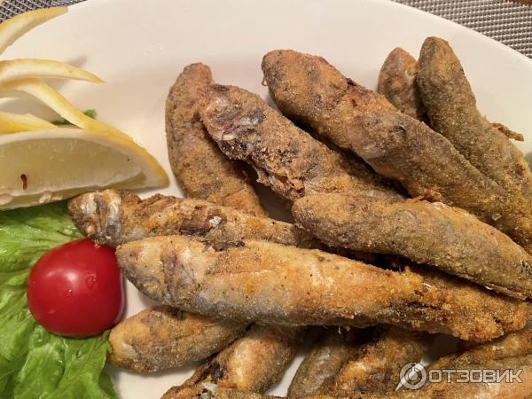 Пиццерия Pizza Bella (Россия, Геленджик) фото