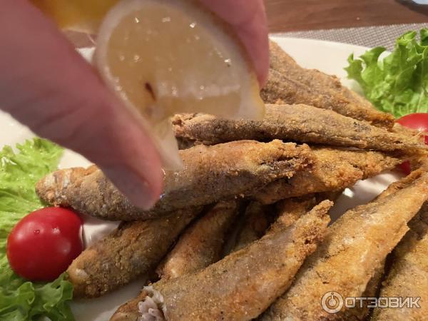 Пиццерия Pizza Bella (Россия, Геленджик) фото