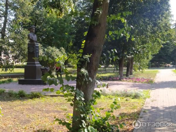 Парк В Ельце Фото