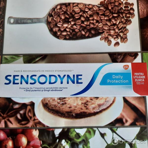 Зубная паста Sensodyne Ежедневная защита фото