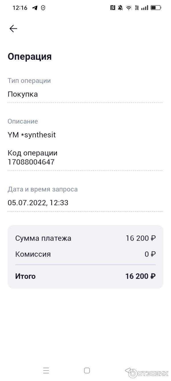 БАД Капсулы Синтезит Железо фото