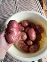 Удобрение Органик Микс фото