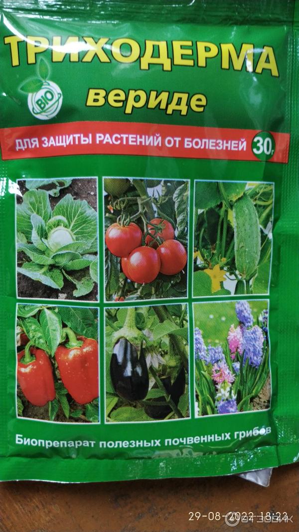 Биопрепарат полезных почвенных грибов Ваше хозяйство Триходерма вериде фото