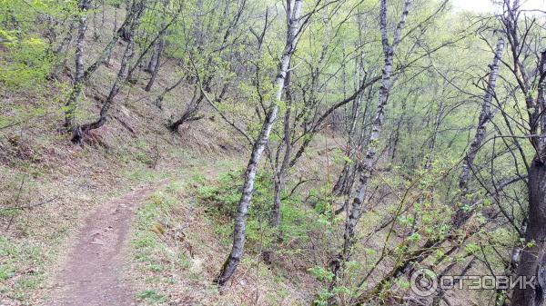 Экскурсия по старинному селу Гамсутль (Россия, Дагестан) фото