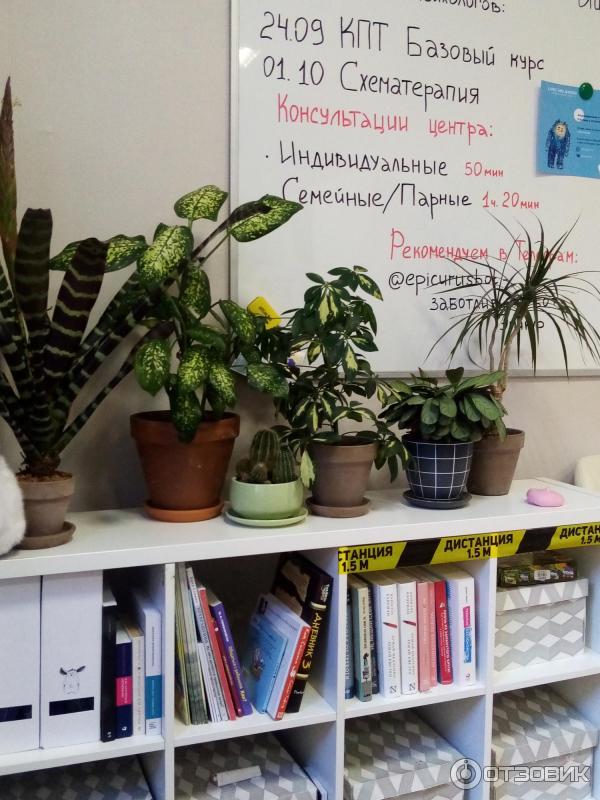 Психологический центр Качество Жизни (Россия, Санкт-Петербург) фото