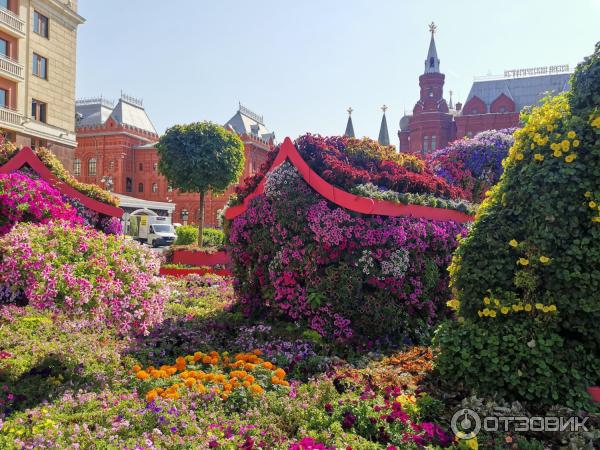 Фестиваль Цветочный джем (Россия, Москва) фото