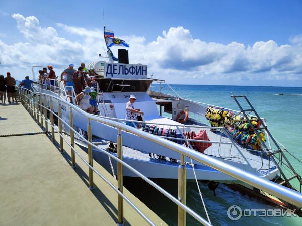 Морская прогулка на катамаране Дельфин (Россия, Дивноморское) фото