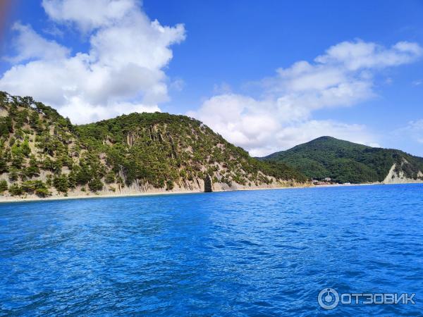 Морская прогулка на катамаране Дельфин (Россия, Дивноморское) фото