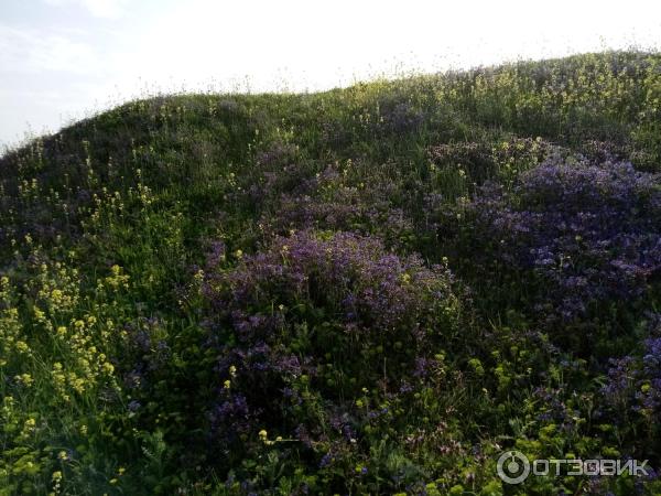 Античный театр Херсонес (Россия, Севастополь) фото