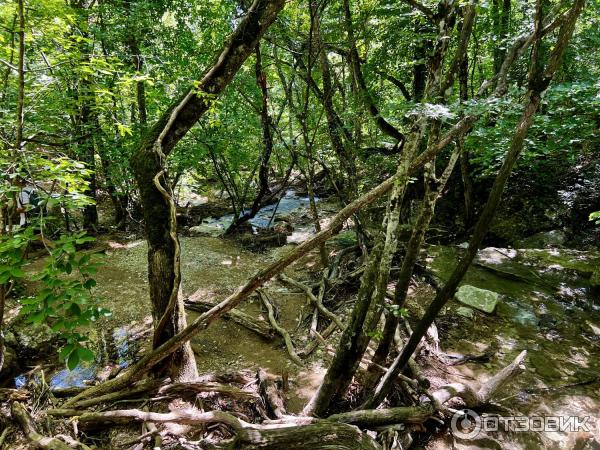 Водопад Джур-Джур (Крым) фото